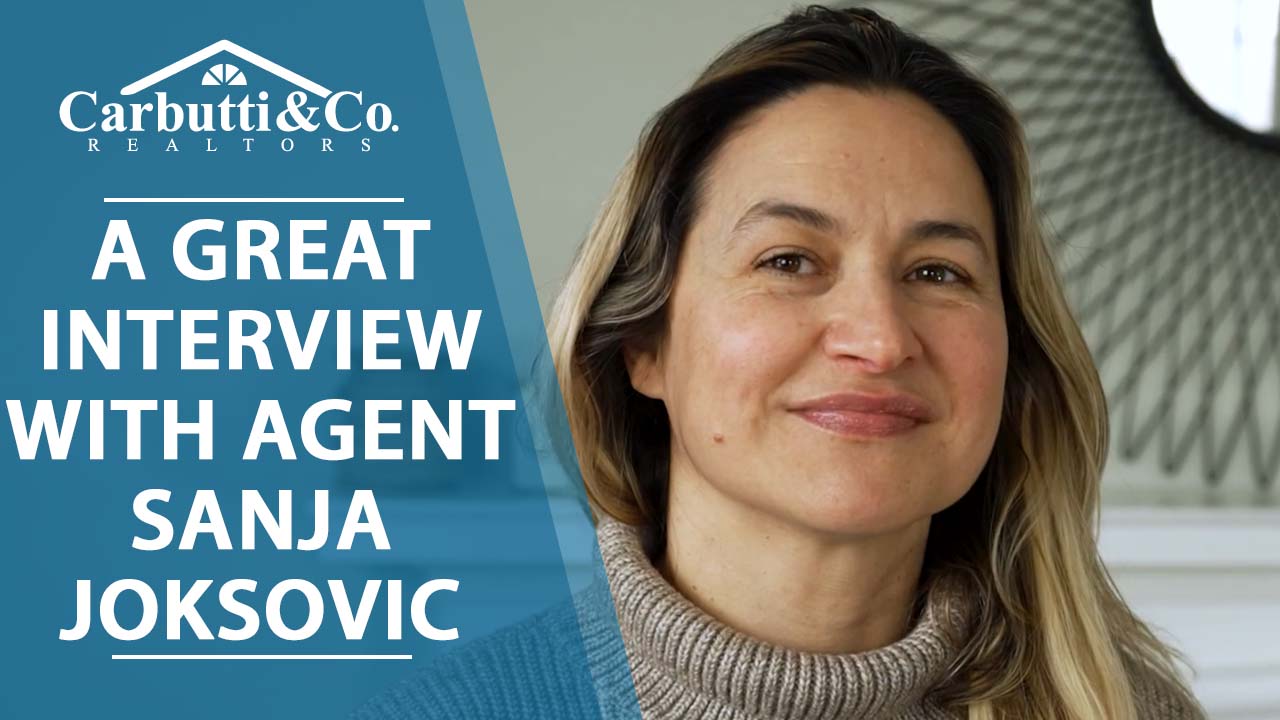 All About Our Agent, Sanja Joksovic